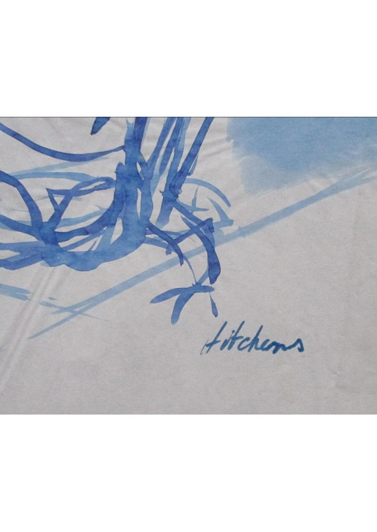 Ivon Hitchens
